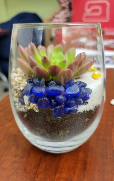 mini terrarium