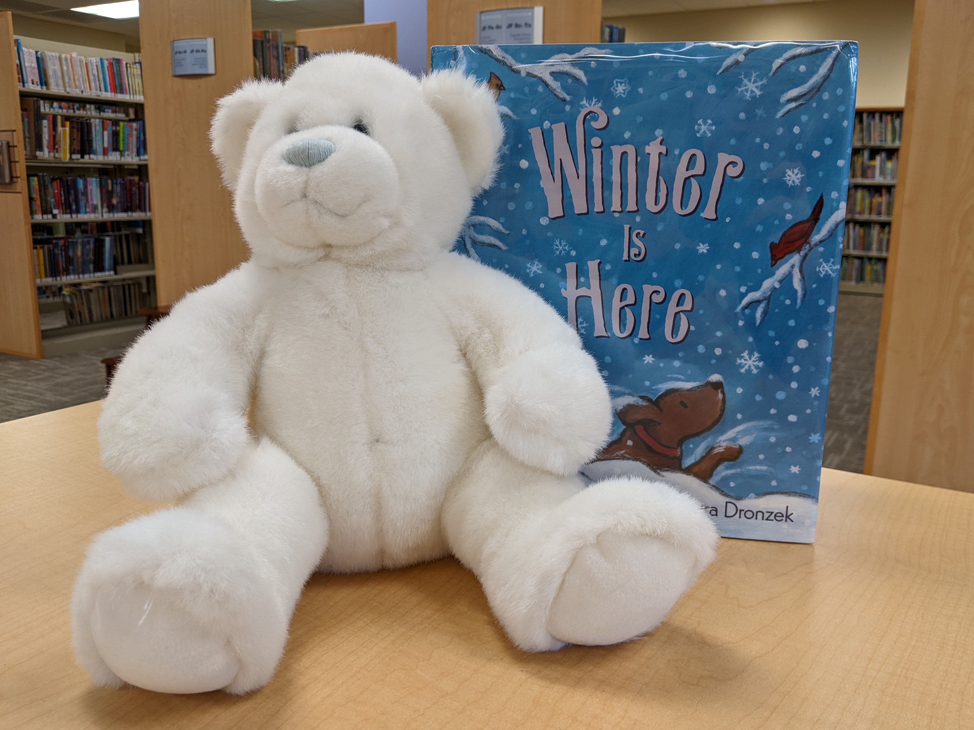 Polar bear with a book