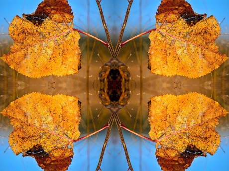 March 2016 by Andrew Zydell