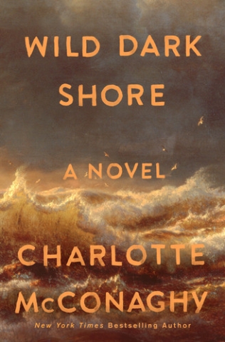 Wild Dark Shore by Charlotte McConaghy cover depicts a painted scene of an ocean shore with turbulent waters