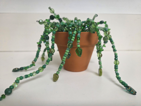 picture of a small beaded plant in a terracotta pot