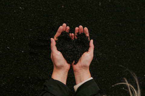 hands cupping gardening soil in the shape of a heart