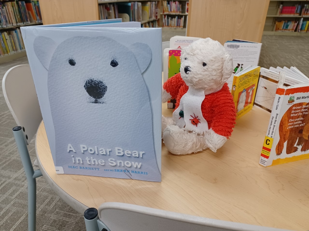 teddy bear reading a book