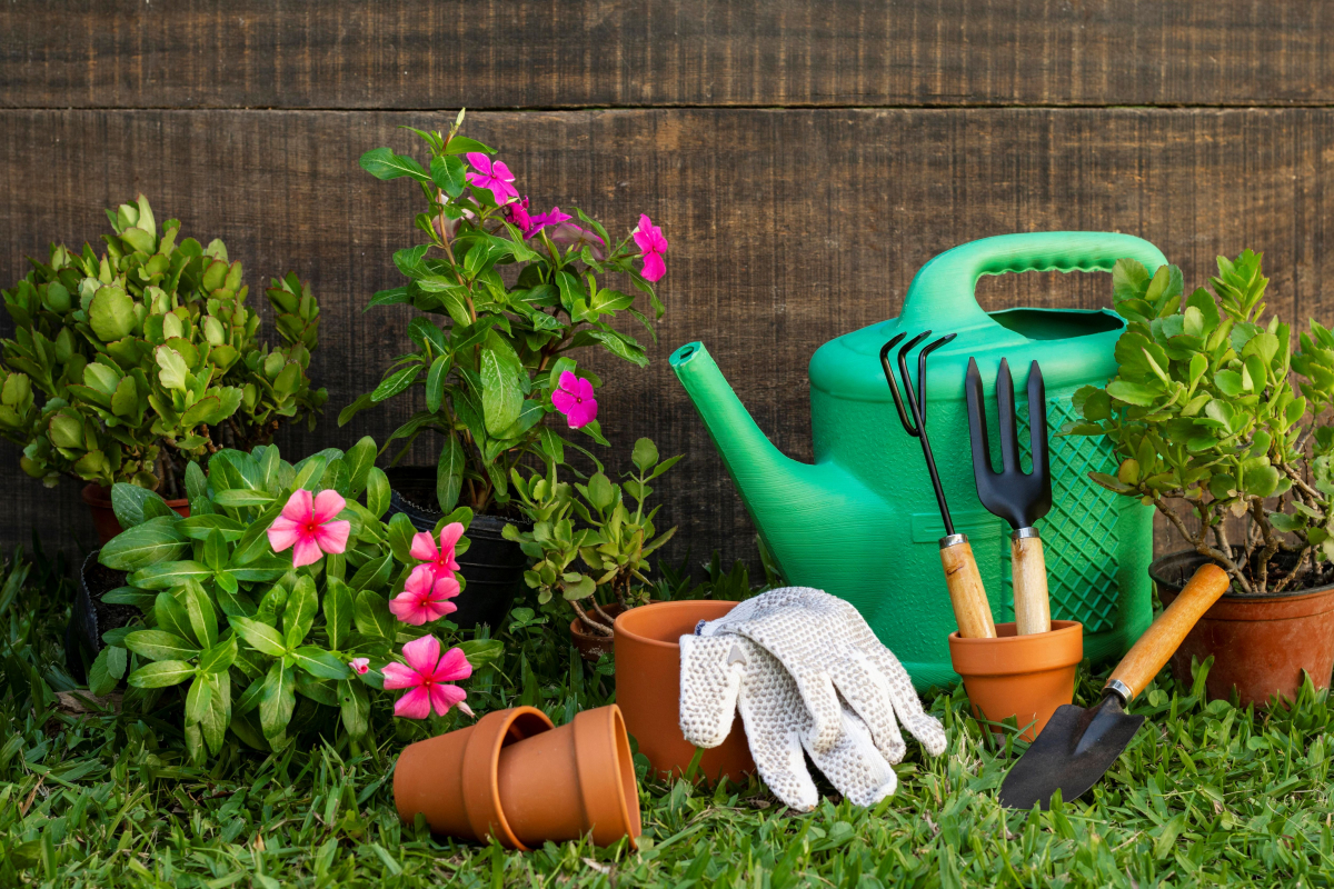 plants, pots, gardening gloves, tools, and water can