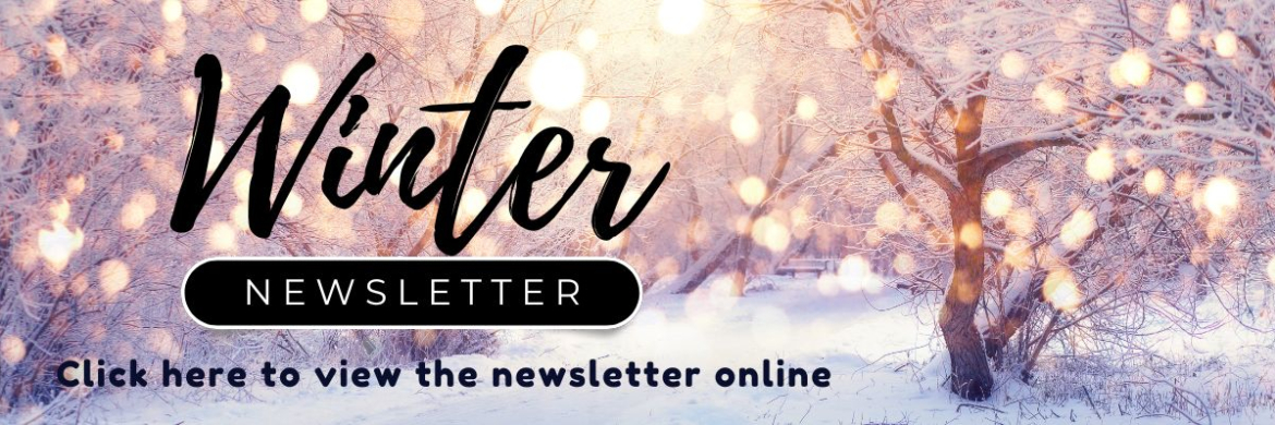 Winter newsletter with snowy lighted background. 